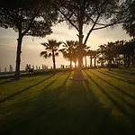 Acanthus Cennet Barut Collection Sidé