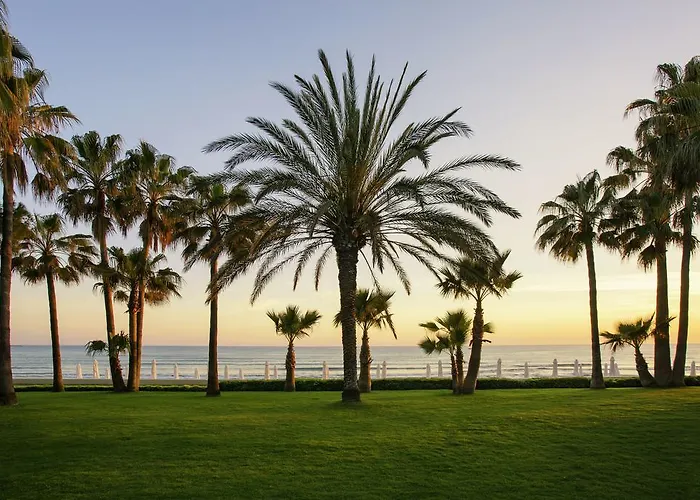 Acanthus Cennet Barut Collection 5*