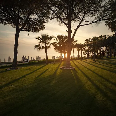 Acanthus Cennet Barut Collection Side