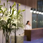 Complex Acanthus Cennet Barut Collection 5*