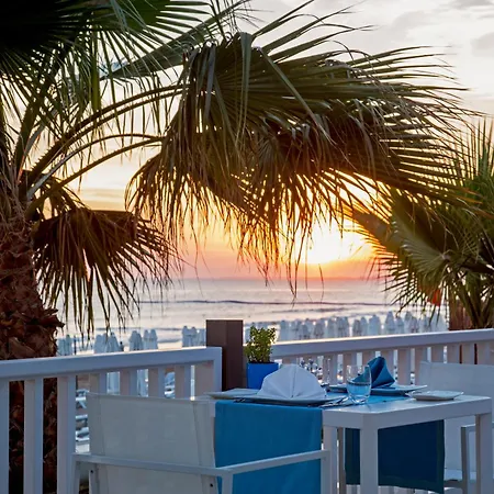 Acanthus Cennet Barut Collection Side