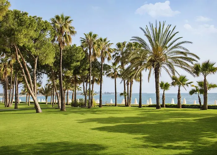 度假村 Acanthus Cennet Barut Collection 锡德