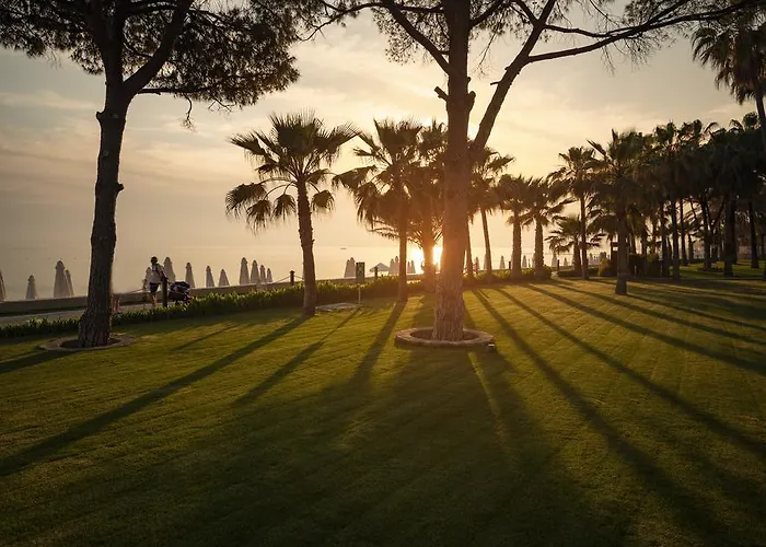 Acanthus Cennet Barut Collection سيدي