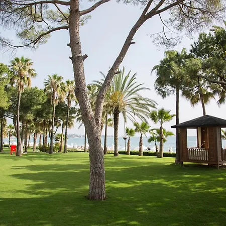 Acanthus Cennet Barut Collection Feriested Side